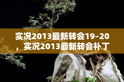 实况2013最新转会19图片