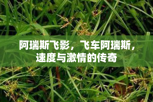 速度与激情的传奇图片