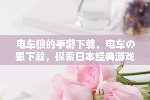 探索日本经典游戏的魅力图片