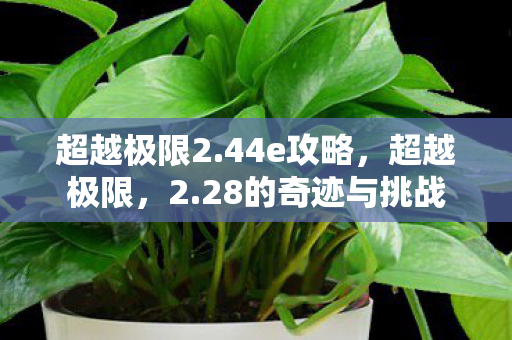 28的奇迹与挑战图片