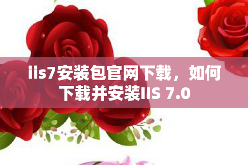 如何下载并安装IIS 7图片