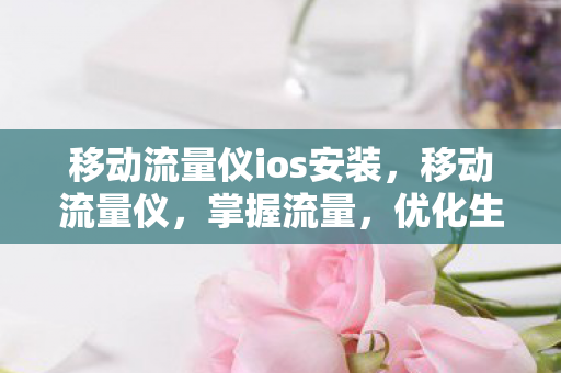 移动流量仪ios安装图片