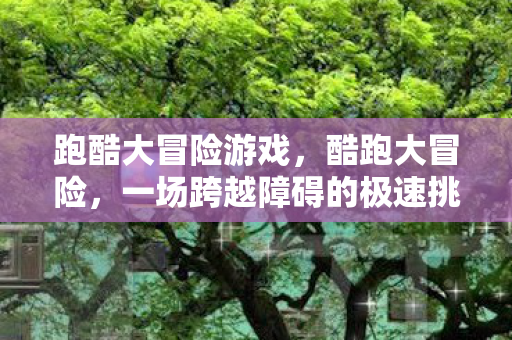 一场跨越障碍的极速挑战图片