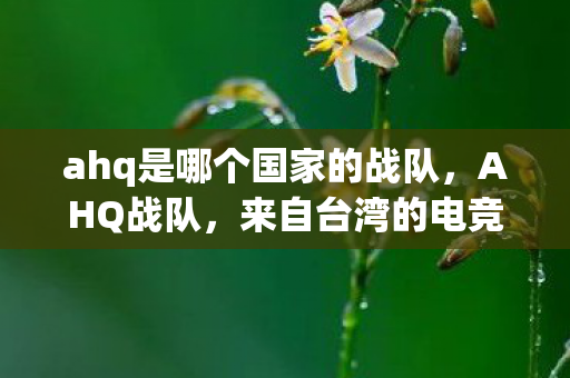 ahq是哪个国家的战队图片