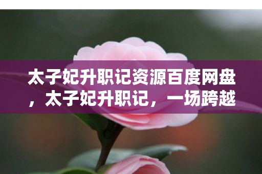 太子妃升职记资源百度网盘图片