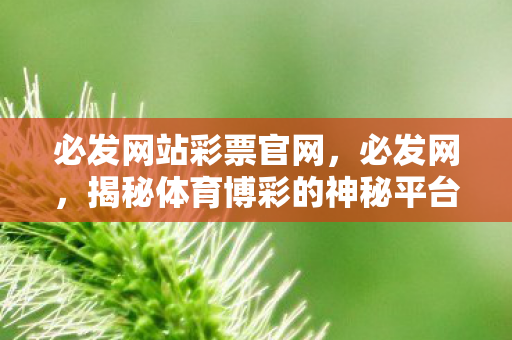 揭秘体育博彩的神秘平台图片