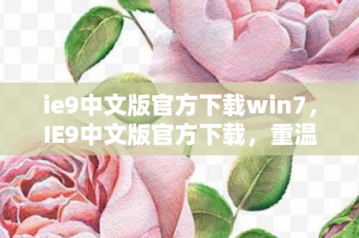 ie9中文版官方下载win7图片