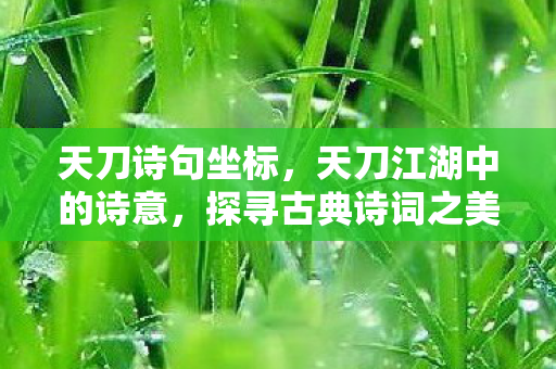 天刀诗句坐标，天刀江湖中的诗意，探寻古典诗词之美