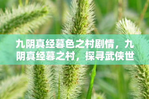 探寻武侠世界的隐秘角落图片