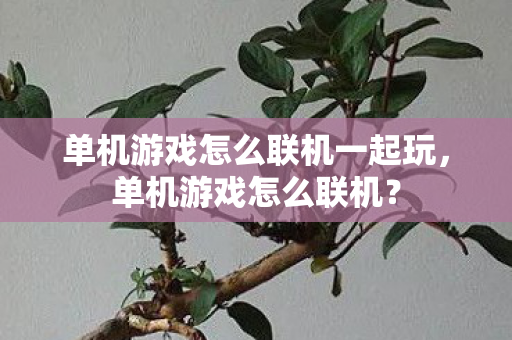 单机游戏怎么联机一起玩图片