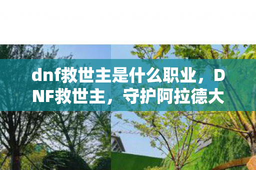 dnf救世主是什么职业图片