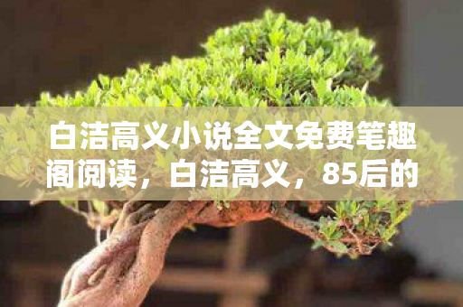 白洁高义小说全文免费笔趣阁阅读图片