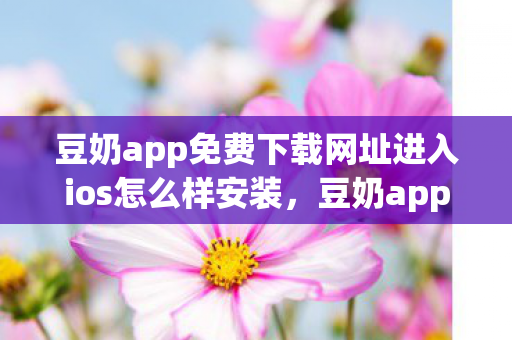 豆奶app免费下载网址进入ios怎么样安装图片