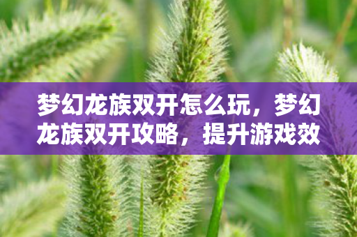 提升游戏效率与乐趣的秘诀图片