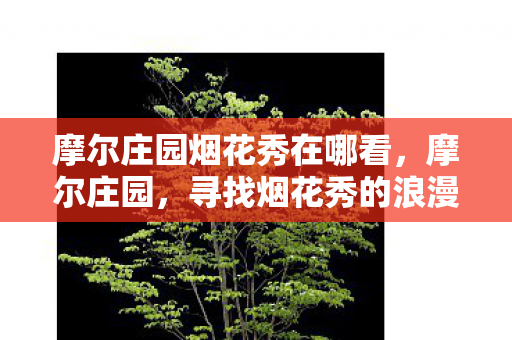 摩尔庄园烟花秀在哪看图片