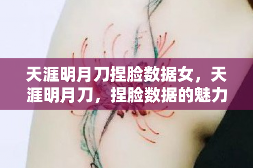 天涯明月刀捏脸数据女，天涯明月刀，捏脸数据的魅力与奇幻