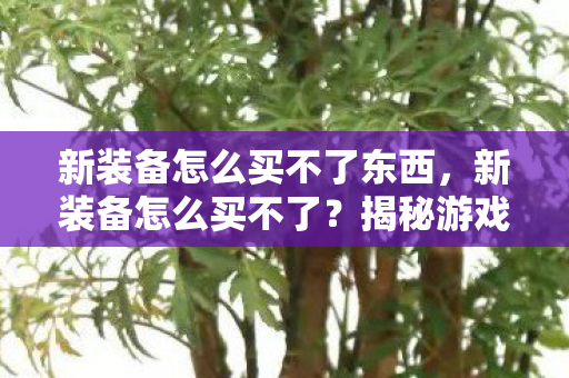 揭秘游戏装备购买的那些坑图片