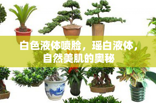 自然美肌的奥秘图片