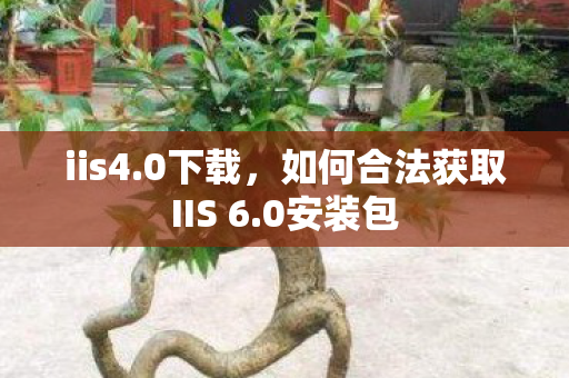 如何合法获取IIS 6图片