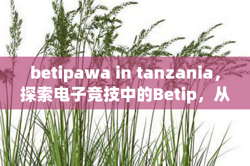 betipawa in tanzania图片