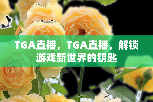 解锁游戏新世界的钥匙图片