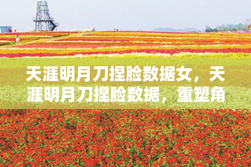 天涯明月刀捏脸数据女，天涯明月刀捏脸数据，重塑角色魅力的秘密武器