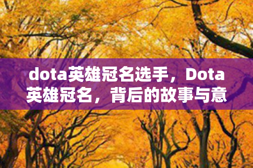 dota英雄冠名选手图片