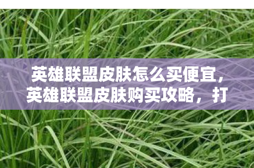 英雄联盟皮肤怎么买便宜图片