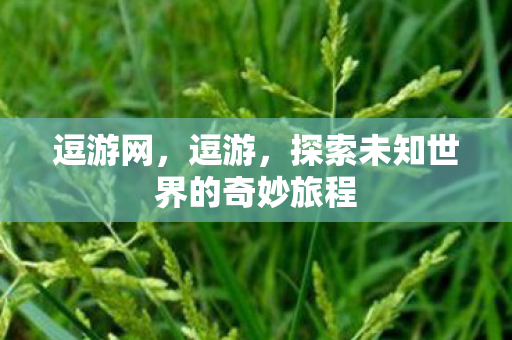 探索未知世界的奇妙旅程图片