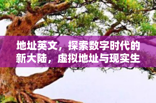 探索数字时代的新大陆图片