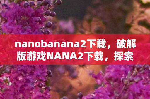 nanobanana2下载图片