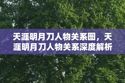 天涯明月刀人物关系图，天涯明月刀人物关系深度解析