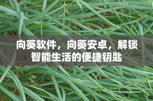 解锁智能生活的便捷钥匙图片