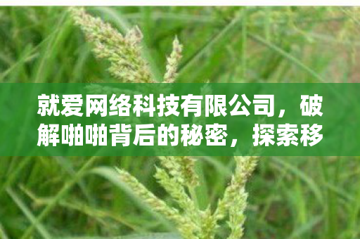 探索移动社交的无限可能图片