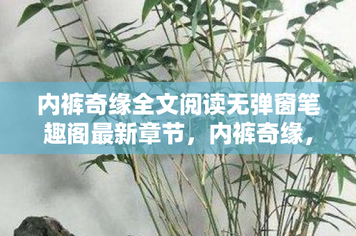 内裤奇缘全文阅读无弹窗笔趣阁最新章节，内裤奇缘，一段关于舒适与时尚的奇妙旅程