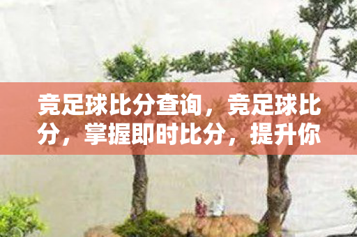 提升你的足球投注技巧图片