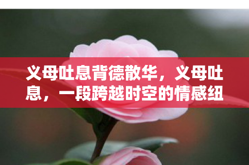 一段跨越时空的情感纽带图片