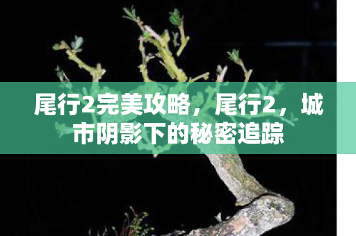 尾行2完美攻略，尾行2，城市阴影下的秘密追踪
