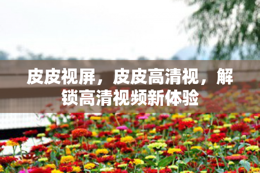 皮皮视屏，皮皮高清视，解锁高清视频新体验
