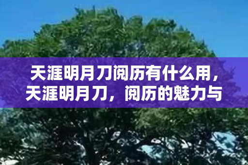天涯明月刀阅历有什么用，天涯明月刀，阅历的魅力与挑战