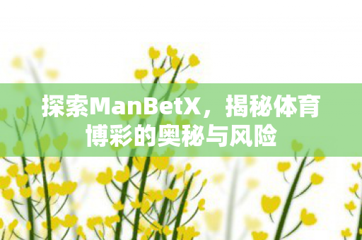 探索ManBetX，揭秘体育博彩的奥秘与风险