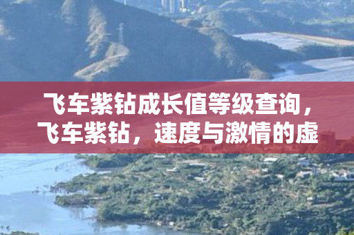 速度与激情的虚拟世界特权图片