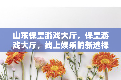 山东保皇游戏大厅图片