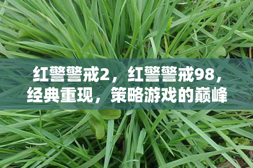 策略游戏的巅峰之作图片