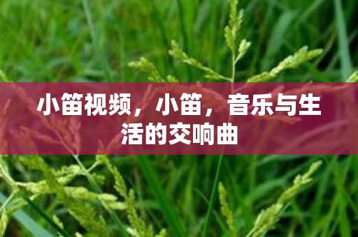 音乐与生活的交响曲图片