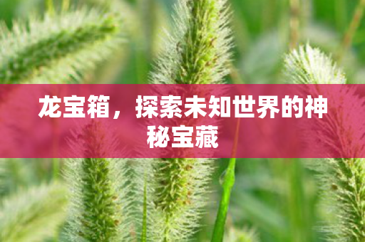 探索未知世界的神秘宝藏图片