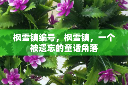 一个被遗忘的童话角落图片