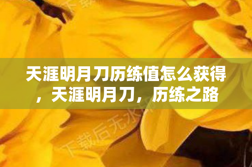 天涯明月刀历练值怎么获得，天涯明月刀，历练之路