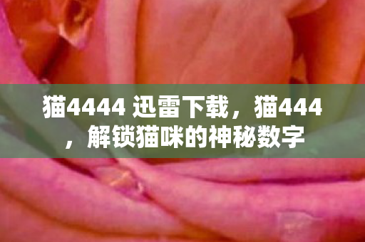 猫4444 迅雷下载图片