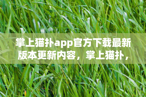 掌上猫扑app官方下载最新版本更新内容，掌上猫扑，探索数字时代的娱乐新生态